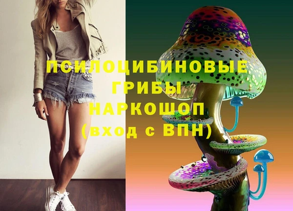 экстази Арсеньев