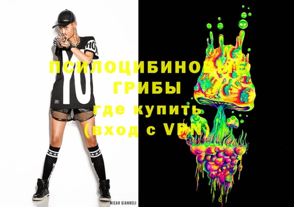 экстази Арсеньев